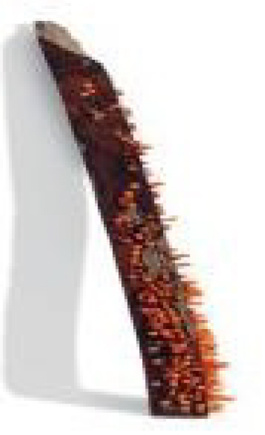 Remanence from Last Night’s Dream